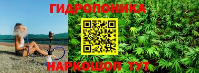 крисы Донской