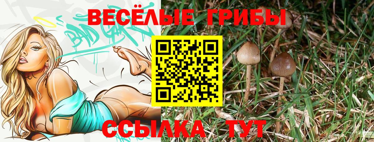 Галлюциногенные грибы GOLDEN TEACHER Можайск