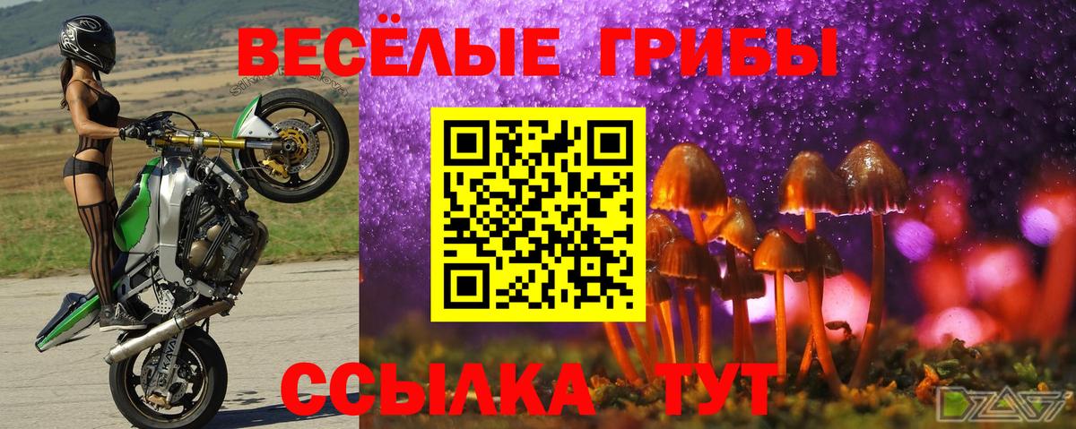 Галлюциногенные грибы Magic Shrooms  Псилоцибиновые грибы ЛСД  Вход с VPN  Можайск 